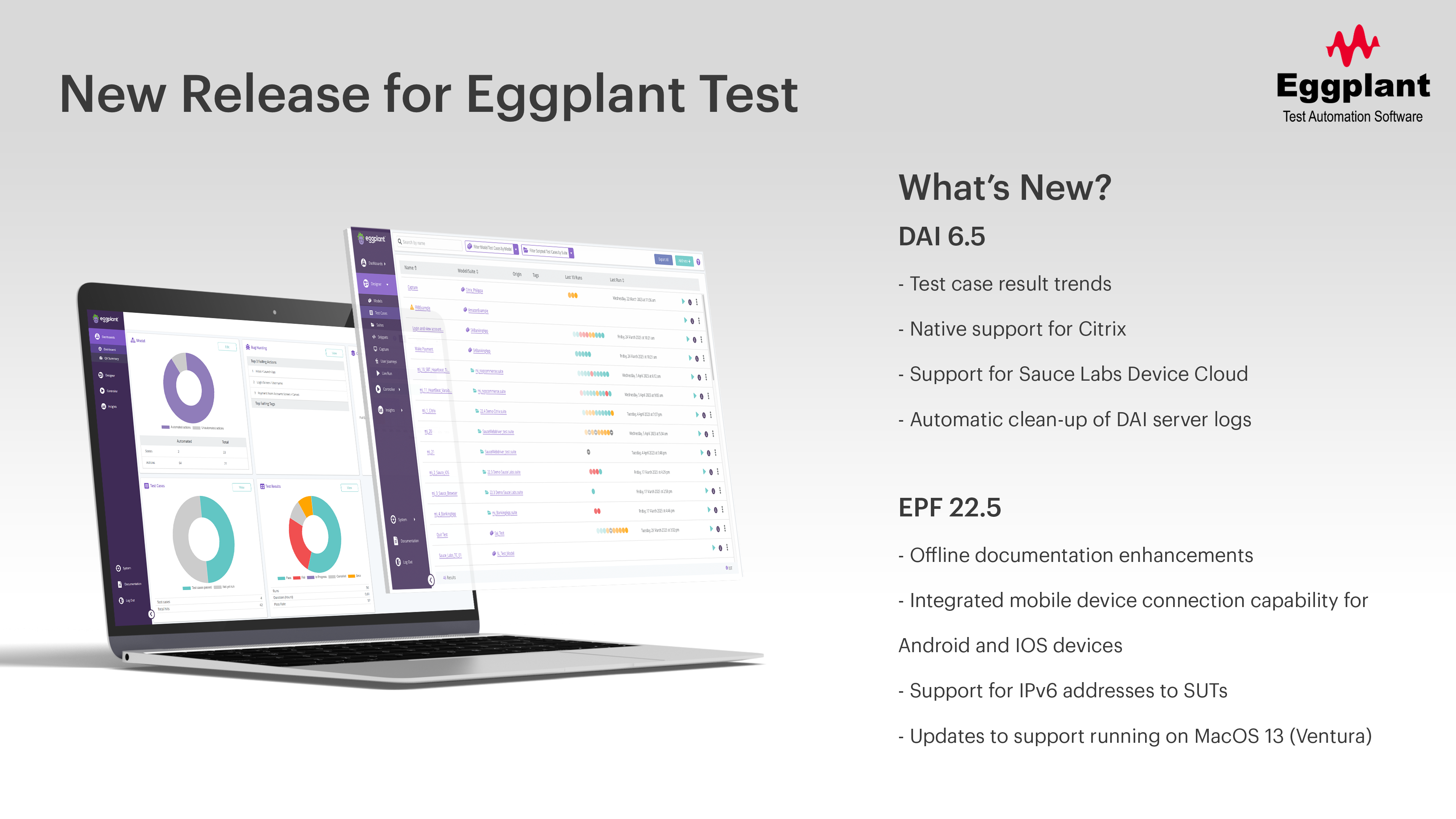 Eggplant Test: The Ultimate Solution for Citrix Testing (Clone)