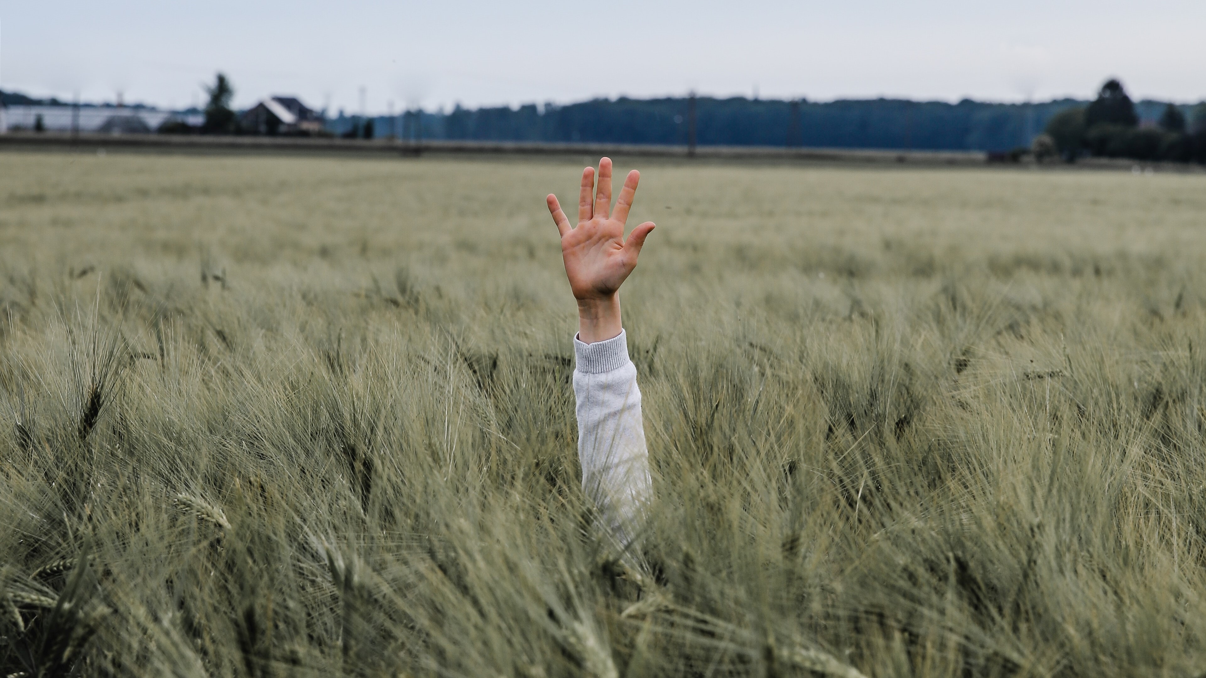 5 Truths About AI-Driven Software Testing